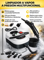 Limpiador A Vapor Presurizado Alta Temp...